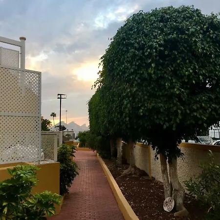 公寓 Orlando Tenerife *